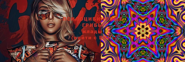скорость Алексин