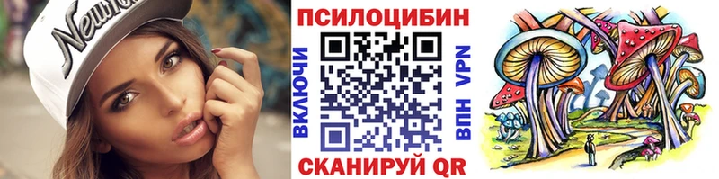Галлюциногенные грибы Psilocybe Андреаполь