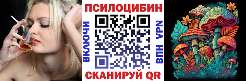 ссылка на мегу зеркало  Андреаполь  Псилоцибиновые грибы Magic Shrooms  дарнет шоп 